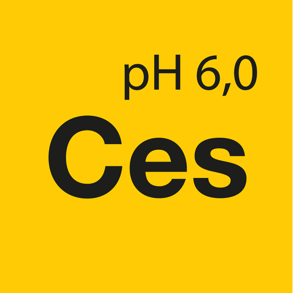 Ceramic Effect Shampoo - Ухаживающий шампунь с долговременным защитным эффектом (5 л) 811005