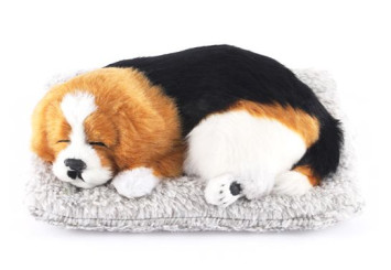 Собака на торпеду лежащая на коврике коричнево-бело-черная