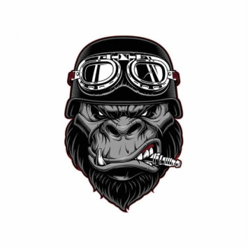 Наклейка Обезьяна в шлеме  16*18см