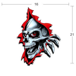 Наклейка  Череп  16x21см  №18  цветной