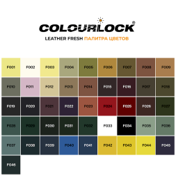Краска для кожи COLOURLOCK кроваво-красный Lederfarbe blutrot 250 мл LZ-225479
