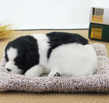 Собака на торпеду лежащая на коврике черно-белая