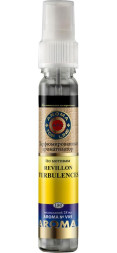 Осв.возд. AROMA Topline Спрей Винтажная серия №v05 Revillon Turbulences