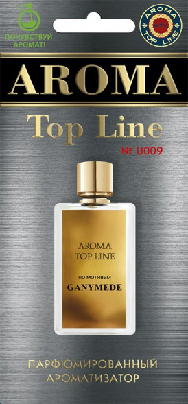 Осв.возд.  AROMA  Topline  Унисекс №U009   Ganymede
