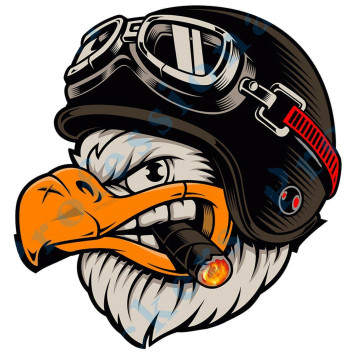 Наклейка &quot;Ястреб в очках №1&quot;   (12,5*12,5см)