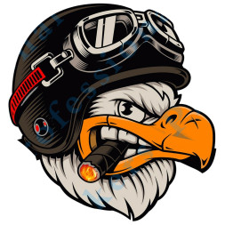 Наклейка "Ястреб в очках №2"   (12,5*12,5см)