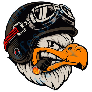 Наклейка &quot;Ястреб в очках №2&quot;   (12,5*12,5см)