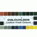Краска для кожи COLOURLOCK карамель Lederfarbe karamell 1л LZ-224377