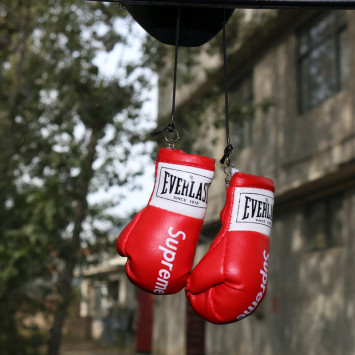 Подвески на зеркало заднего вида перчатки everlast красный