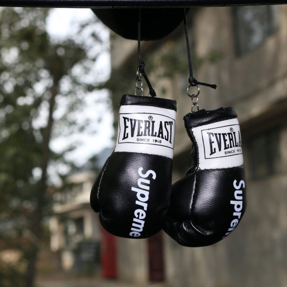 Подвески на зеркало заднего вида перчатки everlast черные