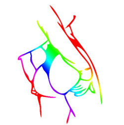 Наклейка  Попа  12x17см. Разноцветный