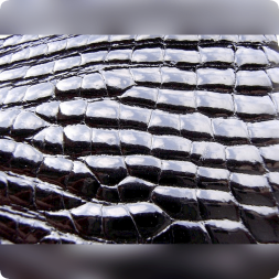 Глянцевый лак для кожи Colourlock Top Coat Hochglanz, 250 мл LZ-224136