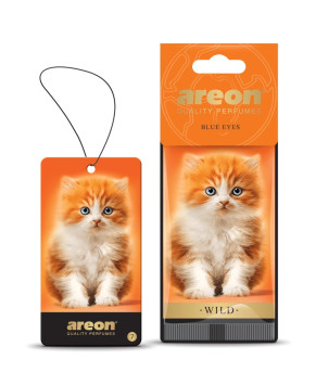 Осв.возд. Areon Сухой  WILD   BLUE EYES