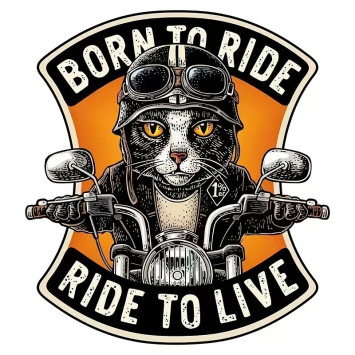 Наклейка &quot;Кот мотоцикл&quot;  8х10см
