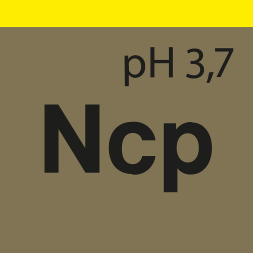 NANOCRYSTAL POLISH - Состав для бесконтактной полировки после мойки автомобиля с гидрофильным эффектом (лето), (10 л) 241010