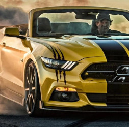 Наклейка  Порез раптора  12x40см  Черный