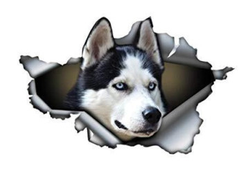 Наклейка  Собака - №13 (13*8см)