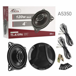 Автомобильные колонки  10&quot;  Carlive TS-A1096