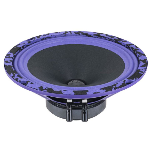 Автомобильные колонки  20&quot;  DL Audio Piranha 200 V.2