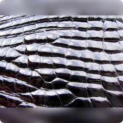 Глянцевый лак для кожи Colourlock Top Coat Hochglanz, 1 л  LZ-224135